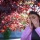 Seasonal Allergies and Chiropractic Care